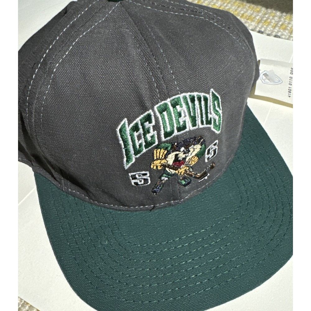 Vintage 1991 Ice Devils Tasmanian Devil Snapback Hat Cap‎ Looney Tunes Made USA